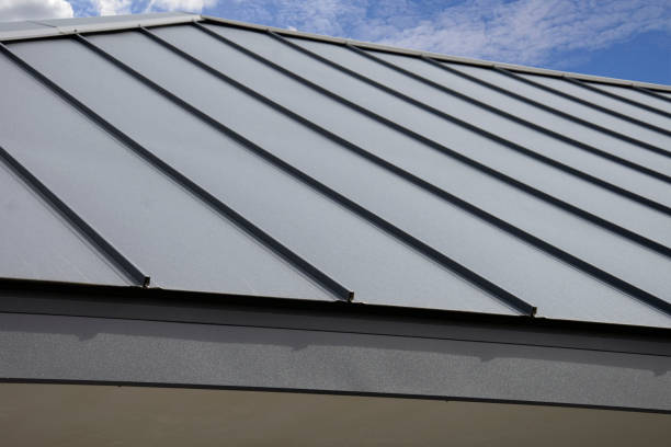 Best Solar Panel Roofing Installation  in South Pasadena, CA